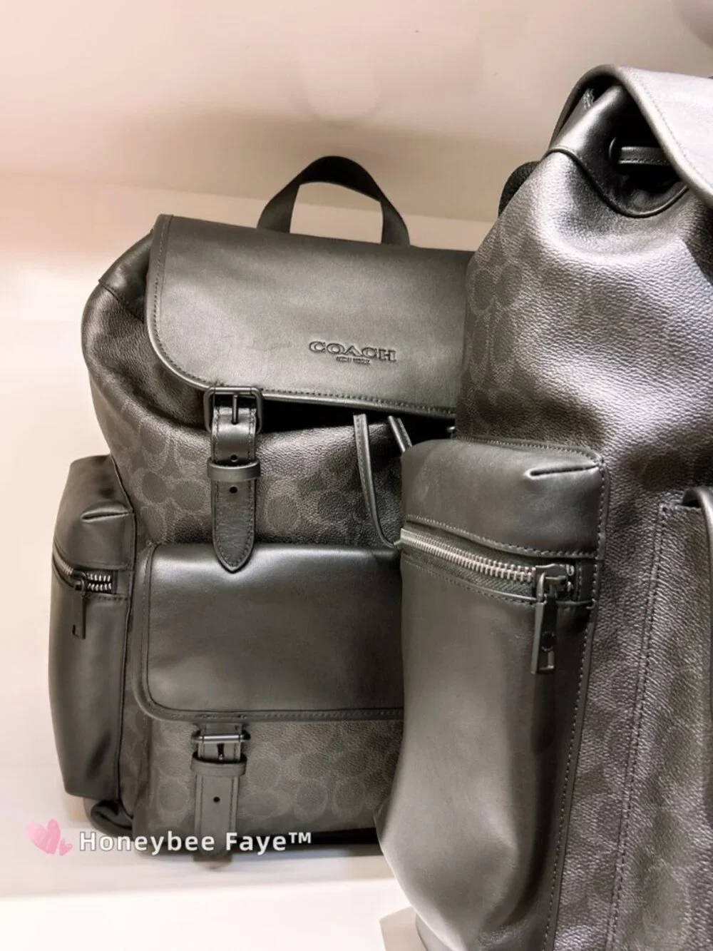 Sprint Backpack In Signature Canvas CFG67
